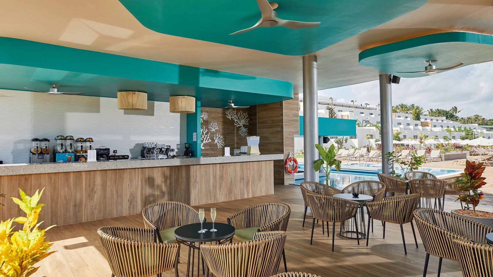 bars-pool-bar	hakuna-matata-18+