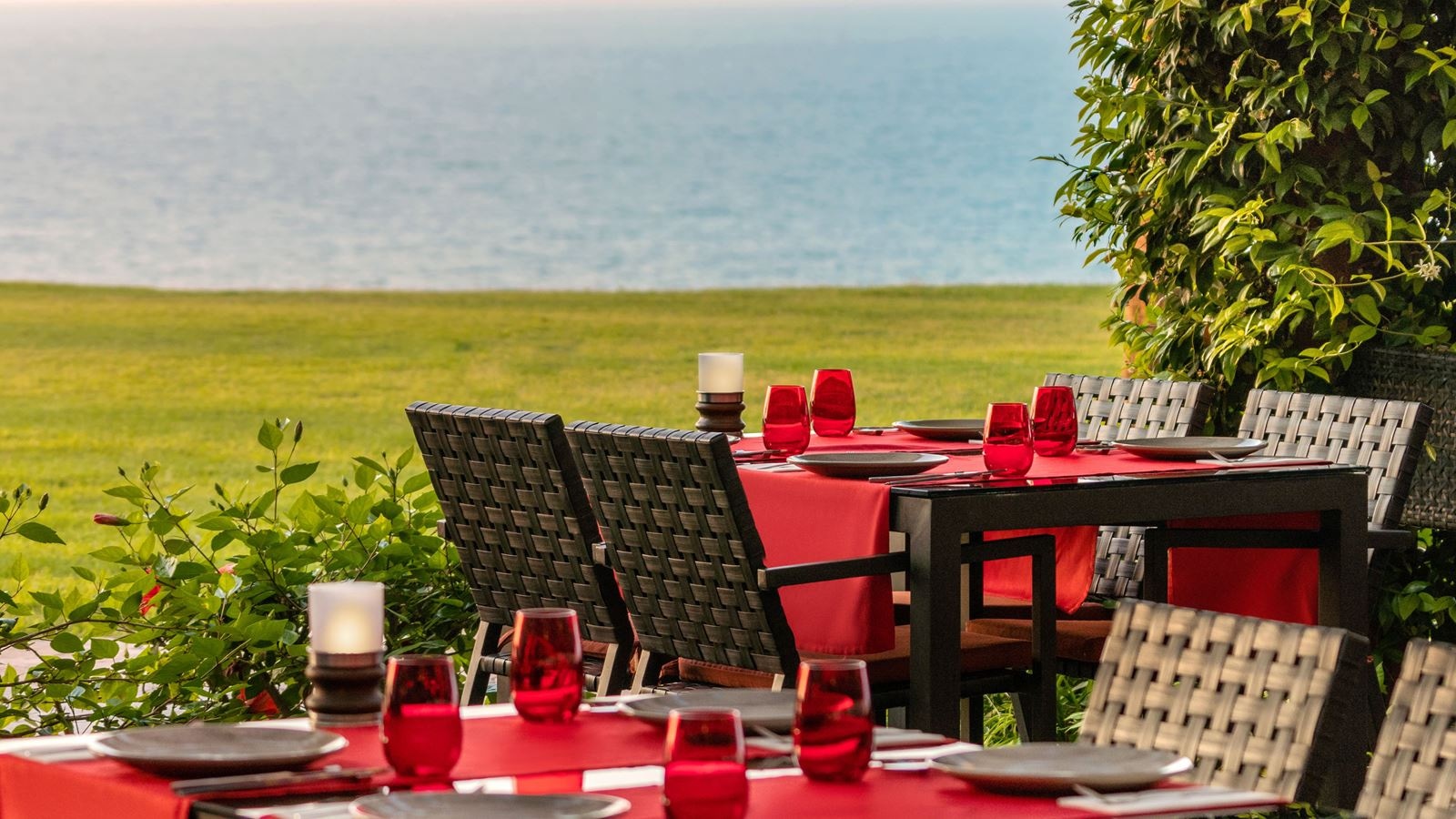 restaurants-myoga-restaurant