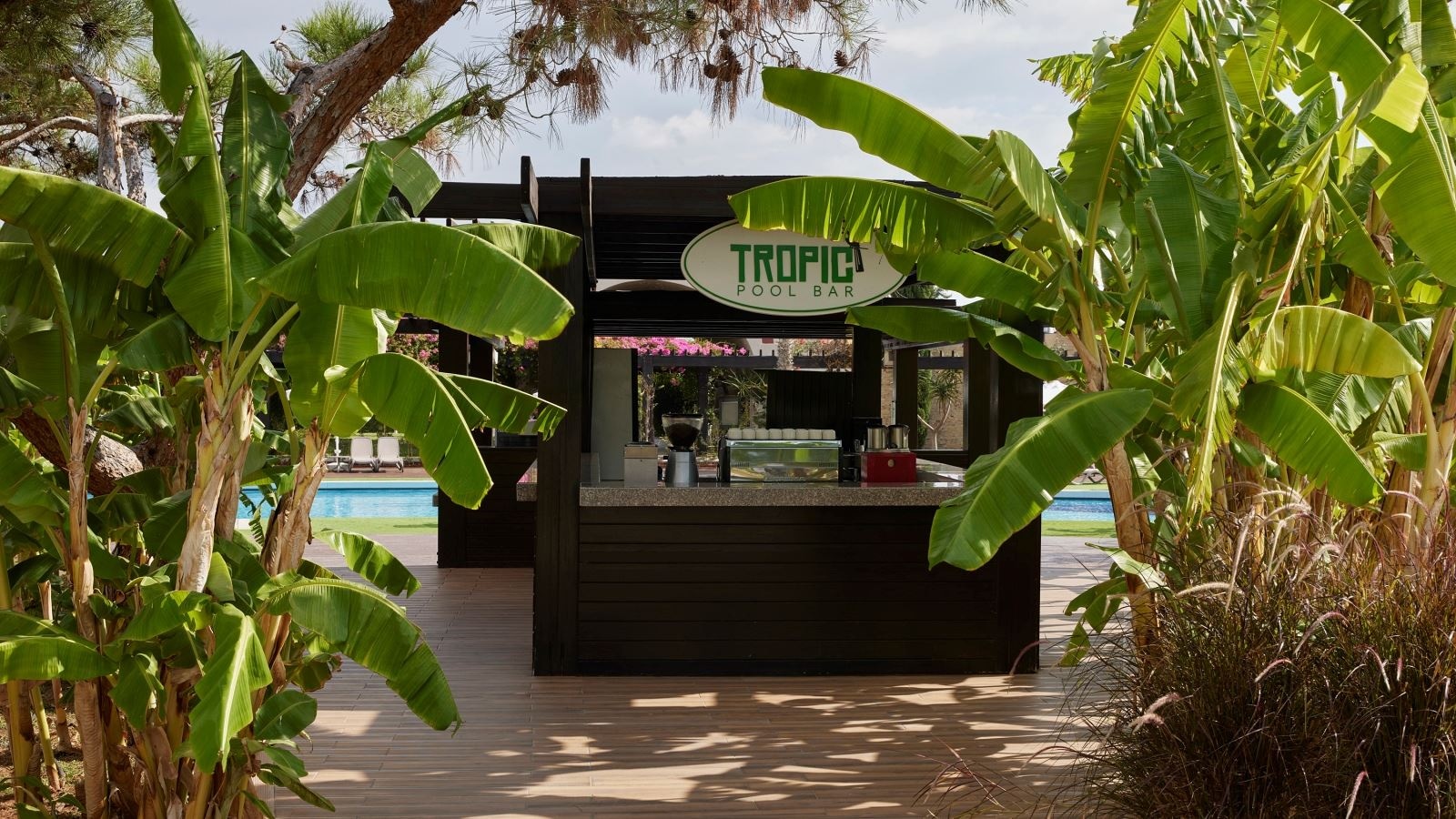 bars-tropic-pool-bar