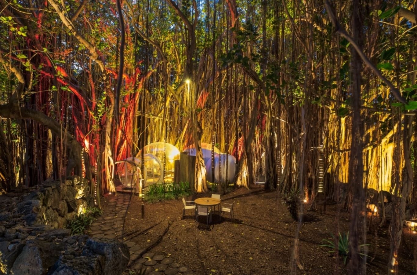 rooms-banyan-tree-bubble