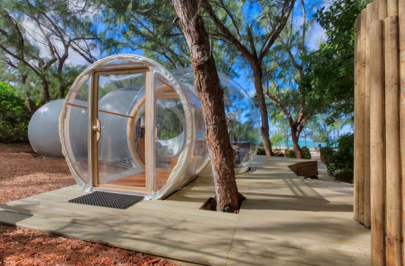 rooms-ocean-paradise-bubble