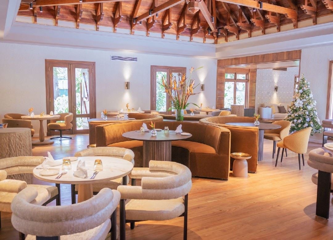 restaurants-cilantro