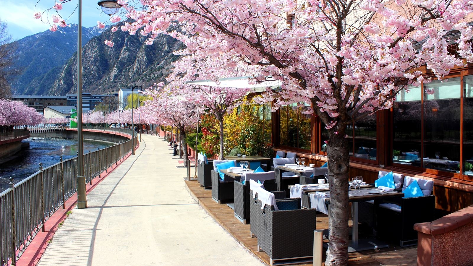 restaurants-platorestaurant