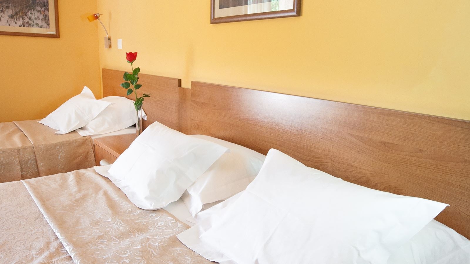 rooms-standard-triple-room