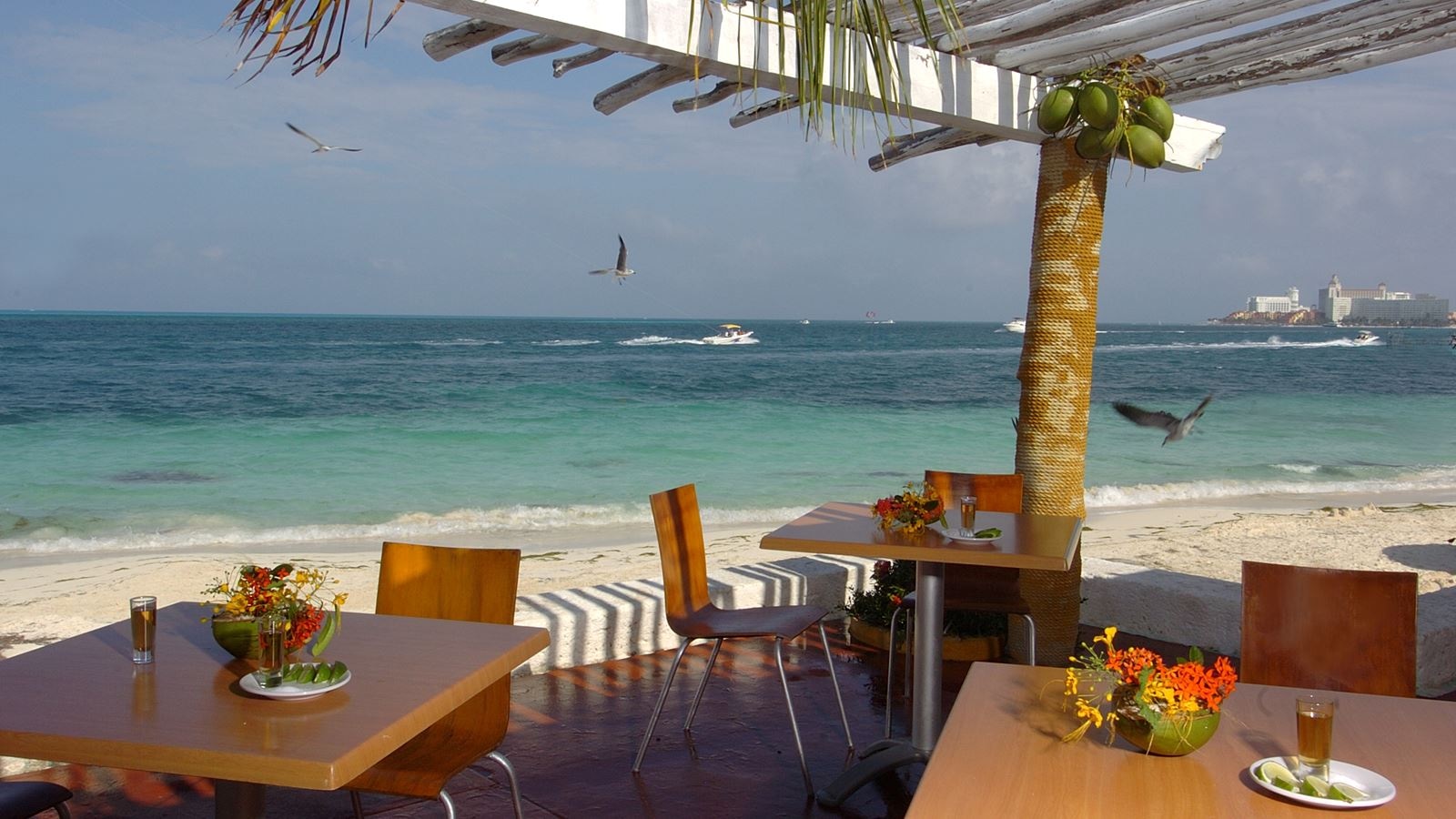 restaurants-restaurants