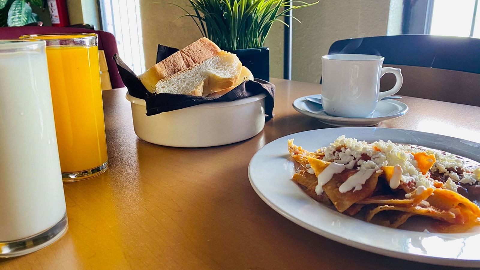 restaurants-restaurants