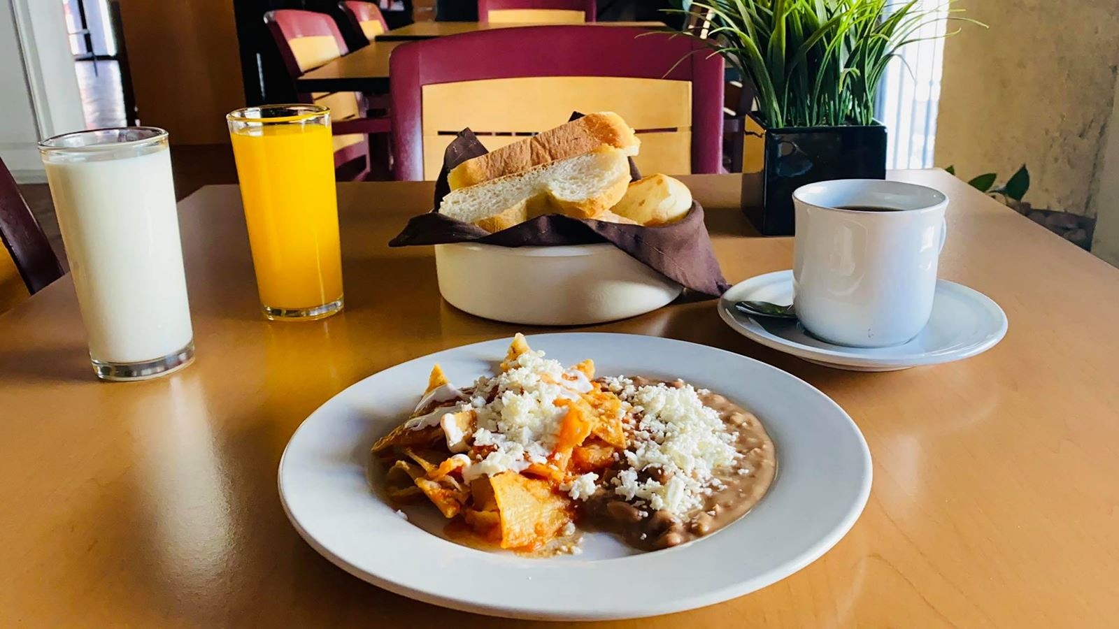 restaurants-restaurants