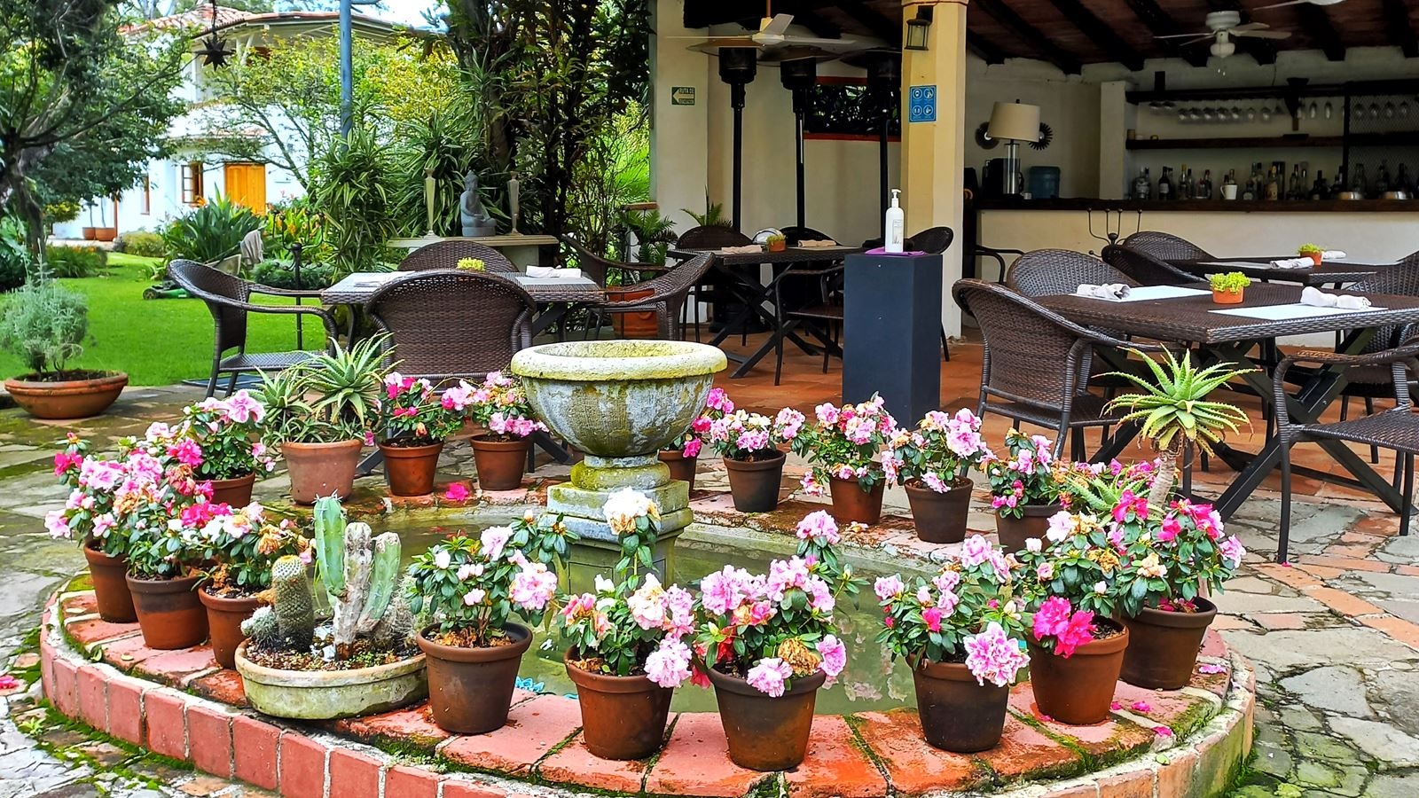 restaurants-restaurants