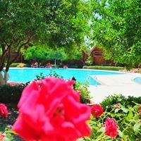 Бассейны preview