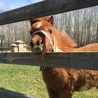 Анимация preview