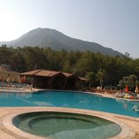 Бассейны preview