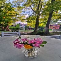 Рестораны preview