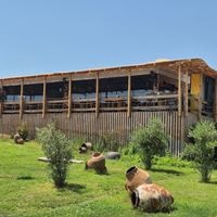 Рестораны preview