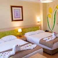 Номера preview