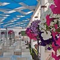 Рестораны preview