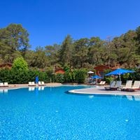 Бассейны preview