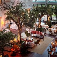 Рестораны preview