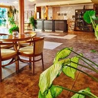 Рестораны preview