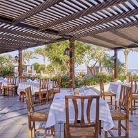 Рестораны preview