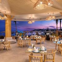 Рестораны preview