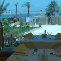 Рестораны preview