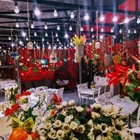 Рестораны preview