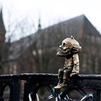 Общий preview