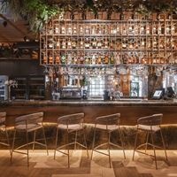 Рестораны preview