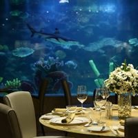 Рестораны preview