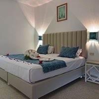 Номера preview