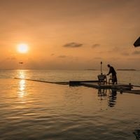 Рестораны preview