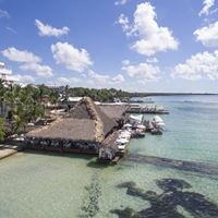 Рестораны preview