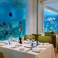 Рестораны preview