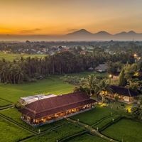 Рестораны preview