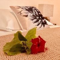 Номера preview