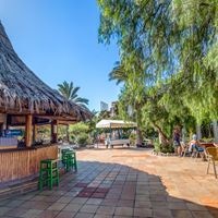 Рестораны preview