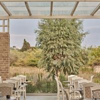 Рестораны preview