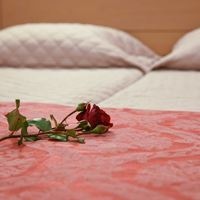 Номера preview