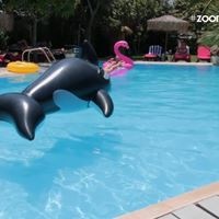 Бассейны preview