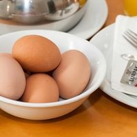 Рестораны preview