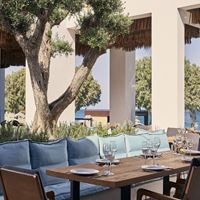 Рестораны preview