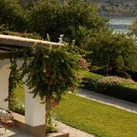 Рестораны preview