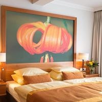 Номера preview