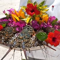 Рестораны preview