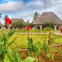 Номера preview