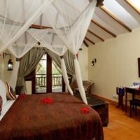 Номера preview