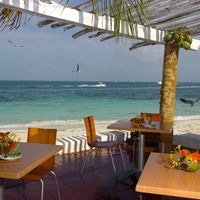 Рестораны preview