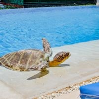 Бассейны preview