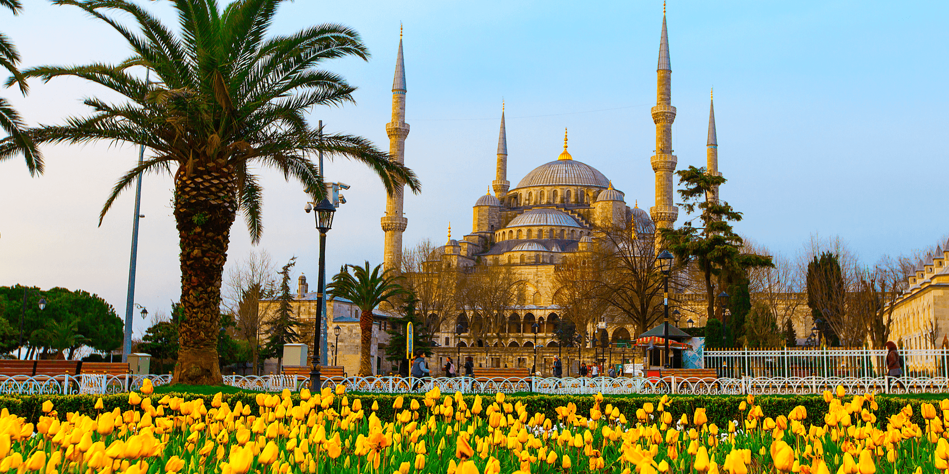 Фестиваль тюльпанов в Стамбуле в разгаре