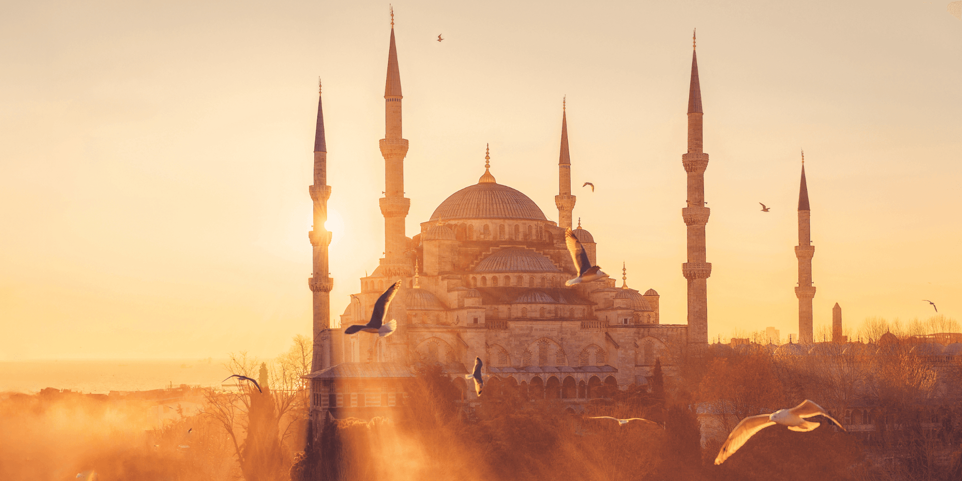 Весной в Стамбул! Рейсы из Домодедово с 31 марта.